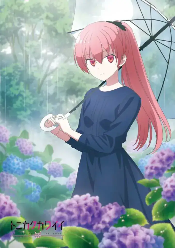 Illustrasi Tsukasa