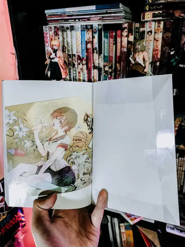 <strong>Vertical Comic (USA)</strong>
