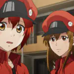 Hataraku Saibou Akan Tayang Di Saluran NET. TV