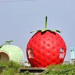 Inilah Halte Bus Berbentuk Buah Yang Menggemaskan di Nagasaki