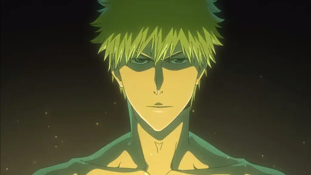 Kurosaki Ichigo
