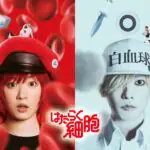 Hataraku Saibou Live Action: Cast, Sutradara, dan Sinopsis